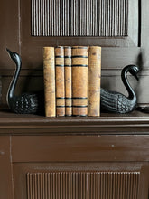 Ladda bilden i Gallerivyn, Bokstöd-Svanar