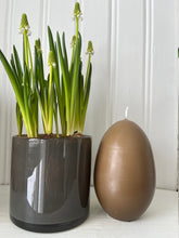 Ladda bilden i Gallerivyn, Äggljus/Gåsägg-Toffée