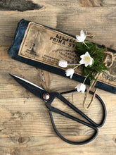 Ladda bilden i Gallerivyn, Gammaldags saxar