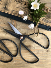 Ladda bilden i Gallerivyn, Gammaldags saxar