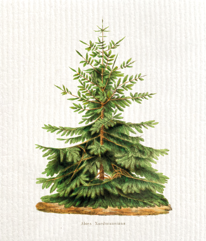 Miljövänlig Disktrasa-Gran