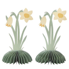 
Ladda bilden i Gallerivyn, Honeycombs-Påskliljor Set om 2 st