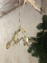 
Ladda bilden i Gallerivyn, Mistel-Champagne
