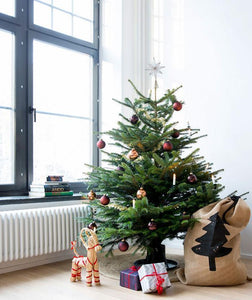 Julklappssäck-Natur